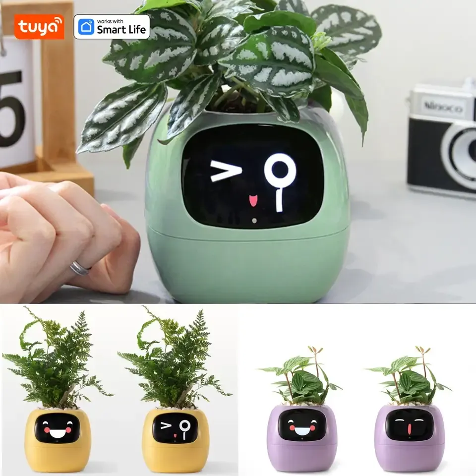 Maceta Inteligente Ivy - Blog Domótica Gang Gang
